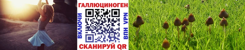 Галлюциногенные грибы Magic Shrooms Лысково
